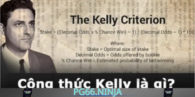 vnv.za.com__Công thức kelly
