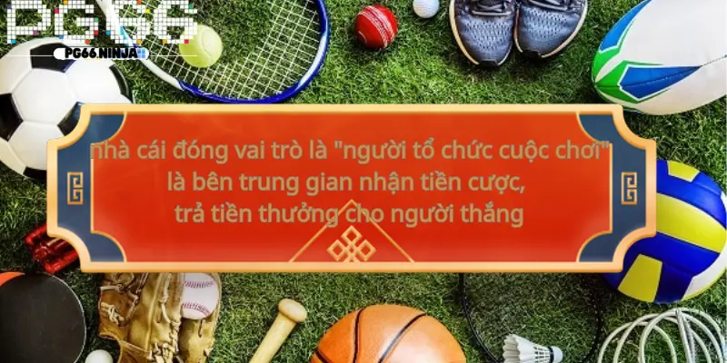 vnv.za.com__Nhà cái cá cược là gì