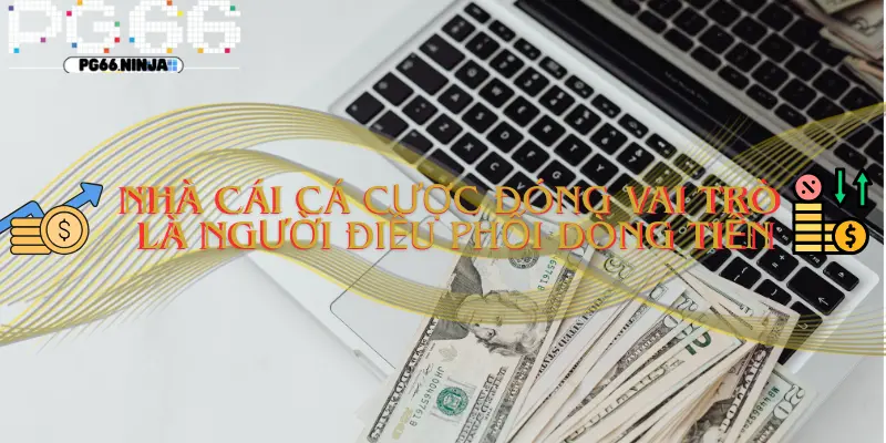 vnv.za.com__Vai trò thực sự của nhà cái cá cược